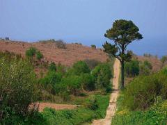 156 ILE DE GROIX_000008